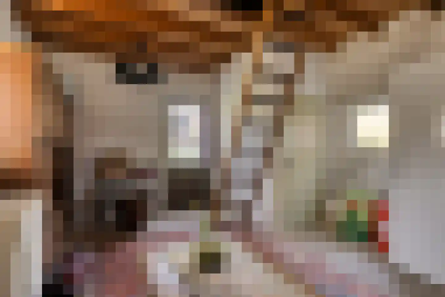 Groene Streep 1 Afferden L thumbnail 23