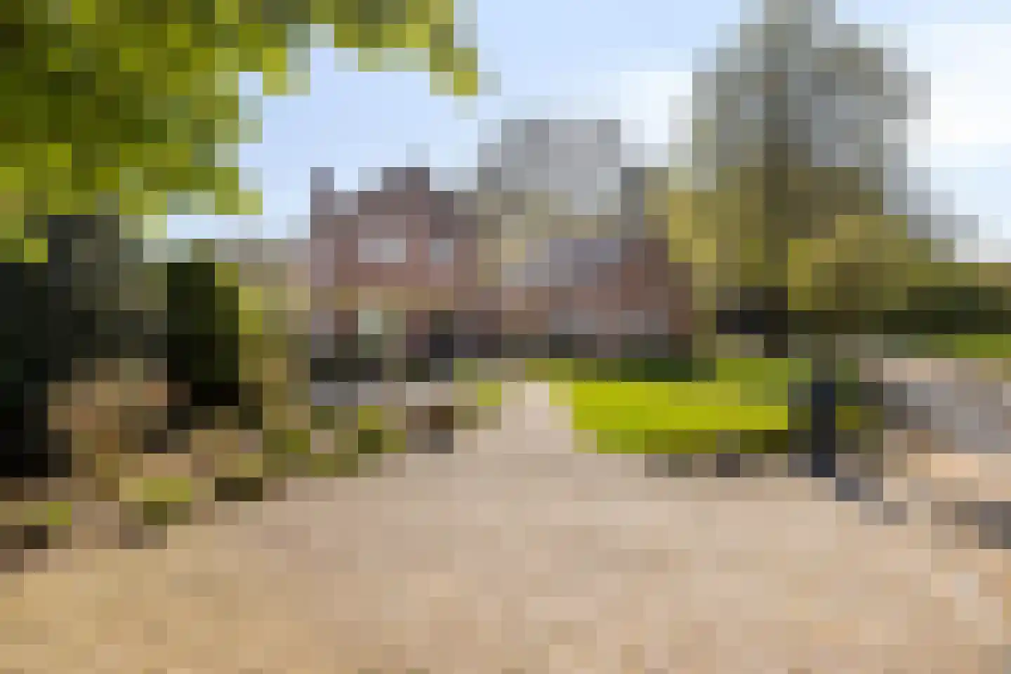 Groene Streep 1 Afferden L thumbnail 32