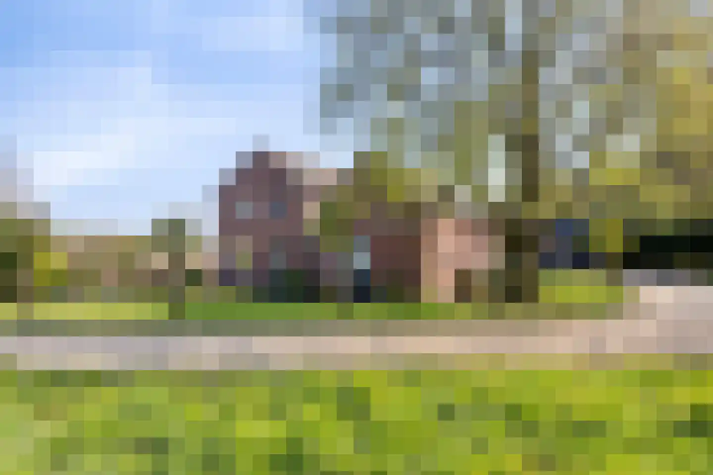 Groene Streep 1 Afferden L thumbnail 35