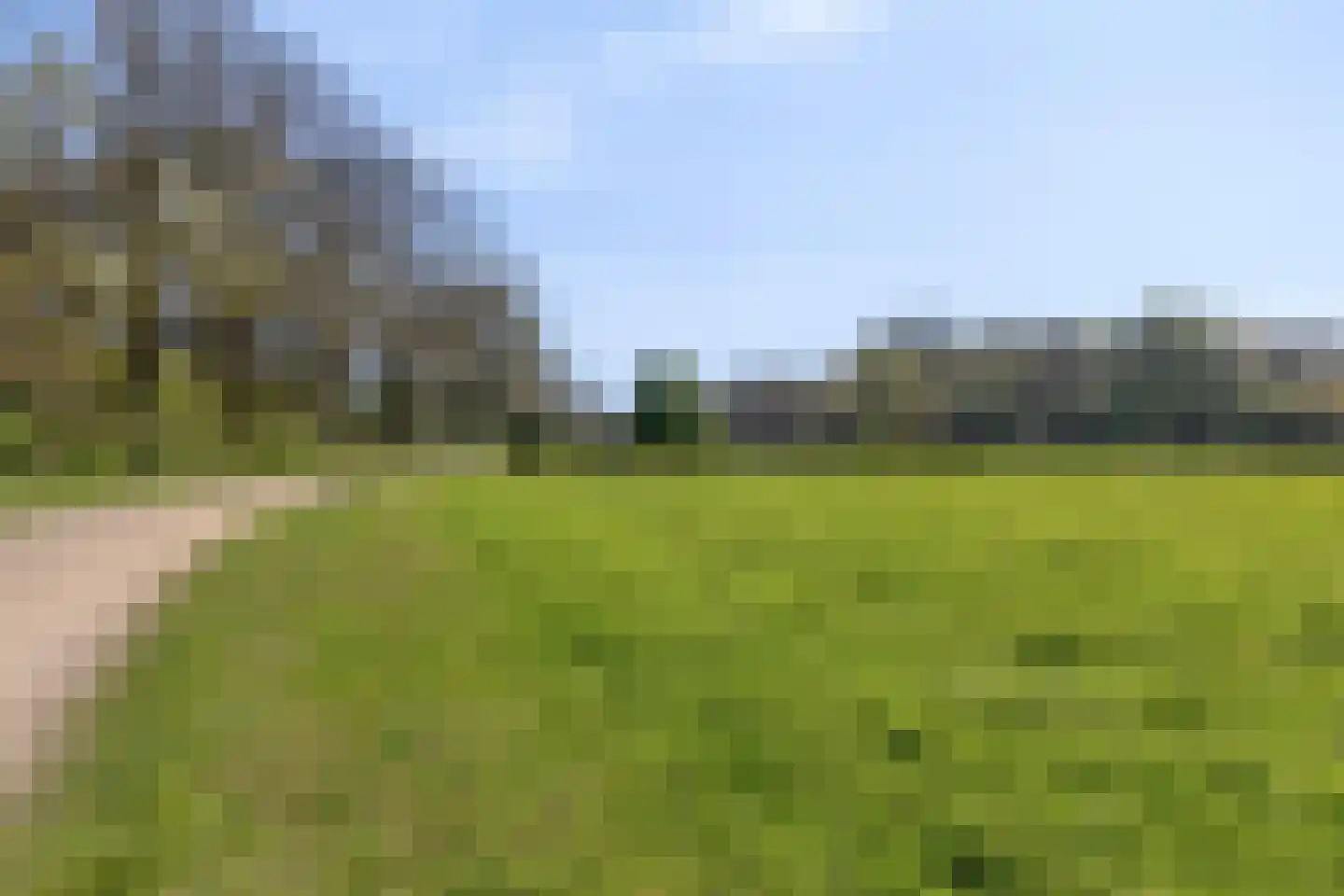Groene Streep 1 Afferden L thumbnail 36