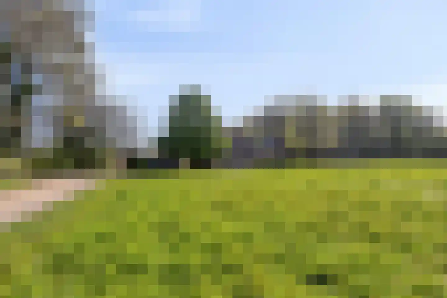Groene Streep 1 Afferden L thumbnail 4
