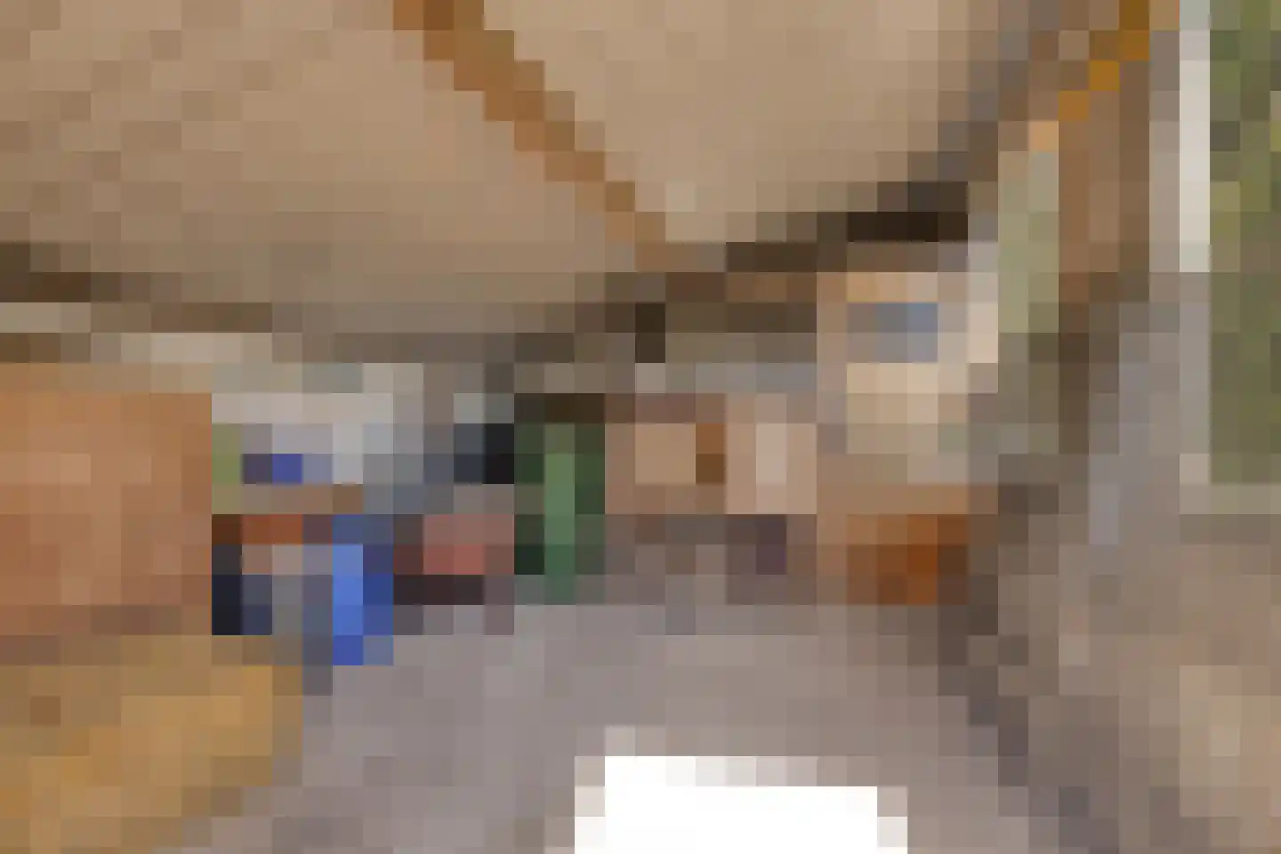 Groene Streep 1 Afferden L thumbnail 49