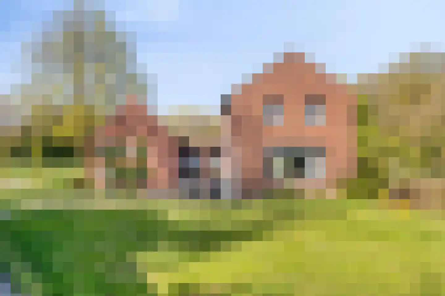 Groene Streep 1 Afferden L thumbnail 5