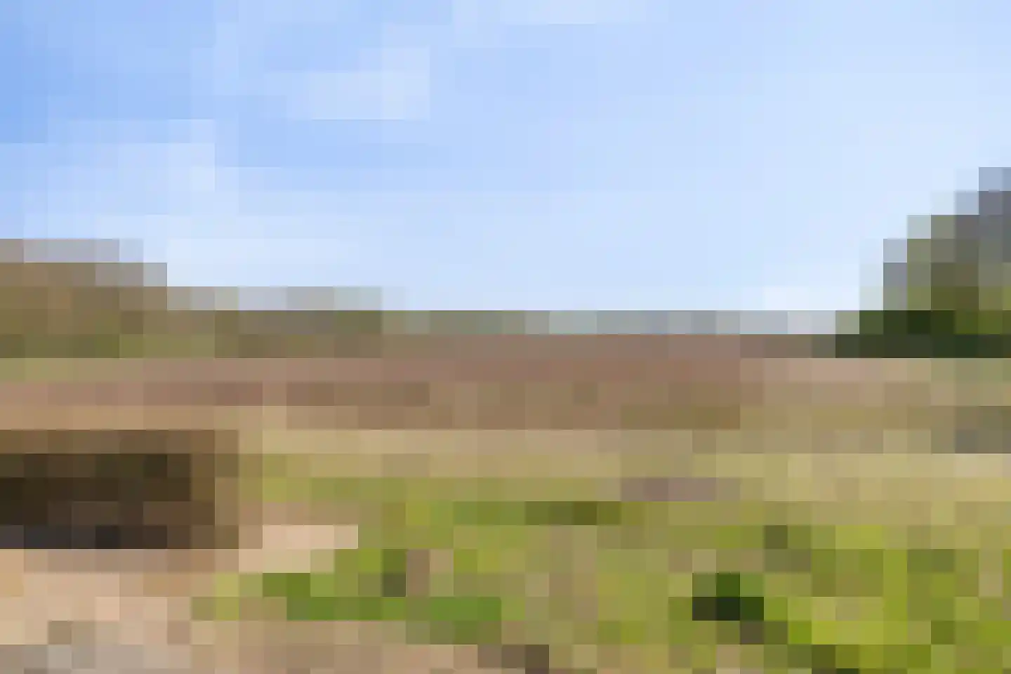 Groene Streep 1 Afferden L thumbnail 51