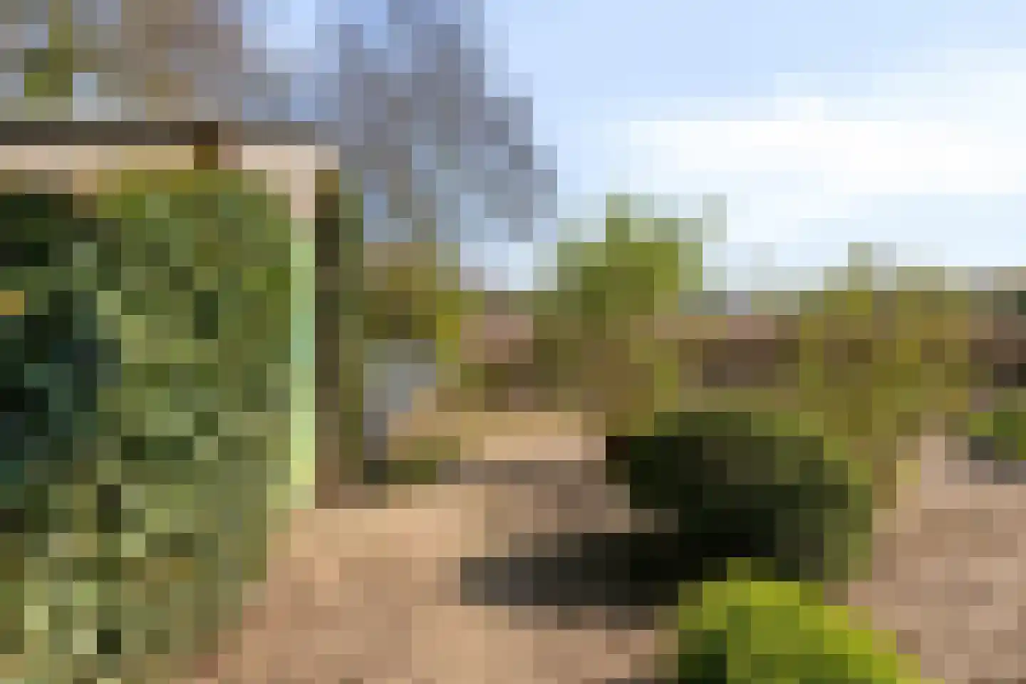 Groene Streep 1 Afferden L thumbnail 55