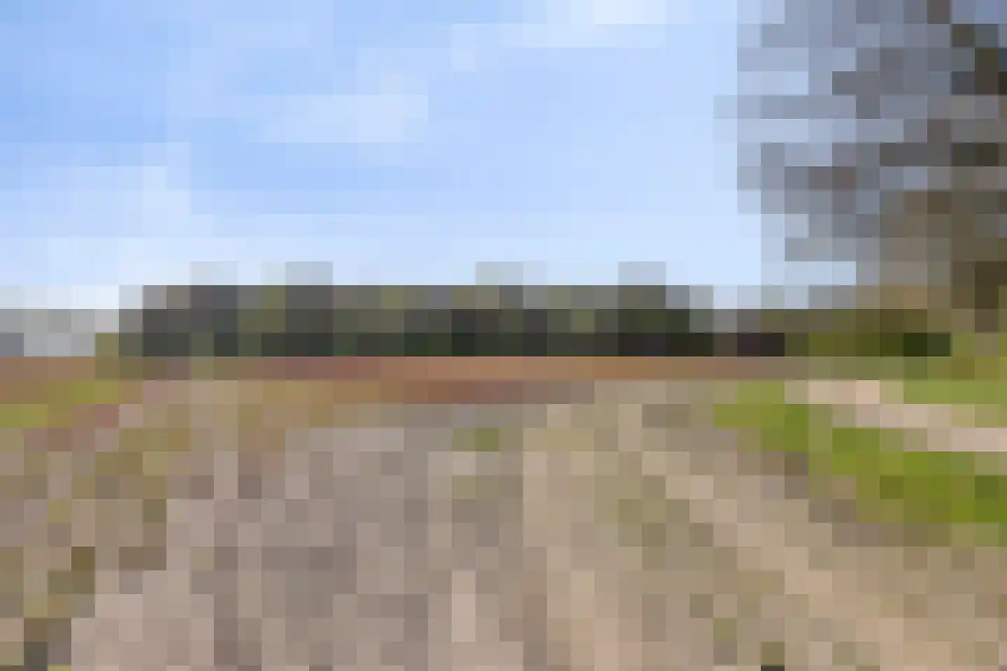 Groene Streep 1 Afferden L thumbnail 57