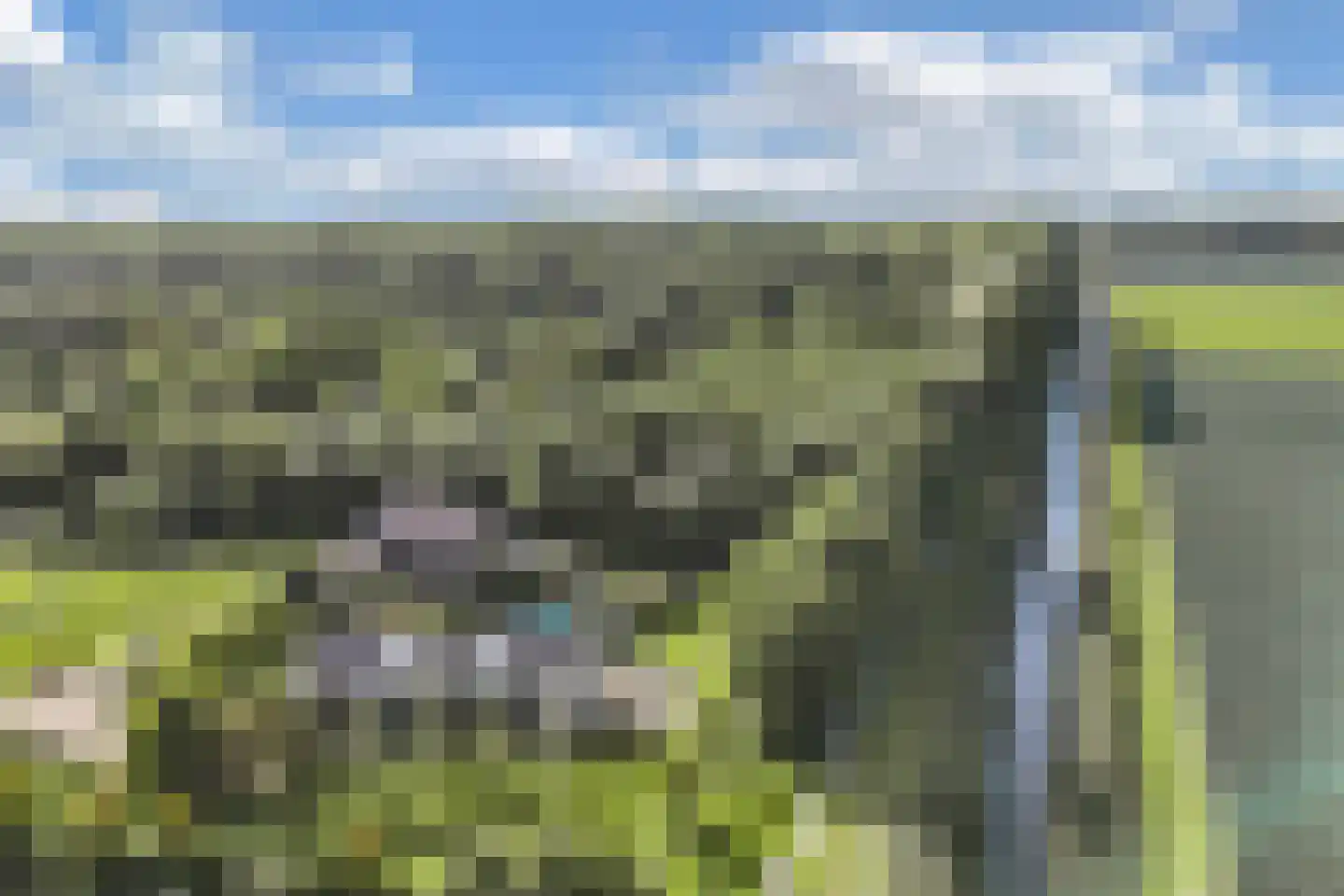 Groene Velden 110 Lelystad thumbnail 4