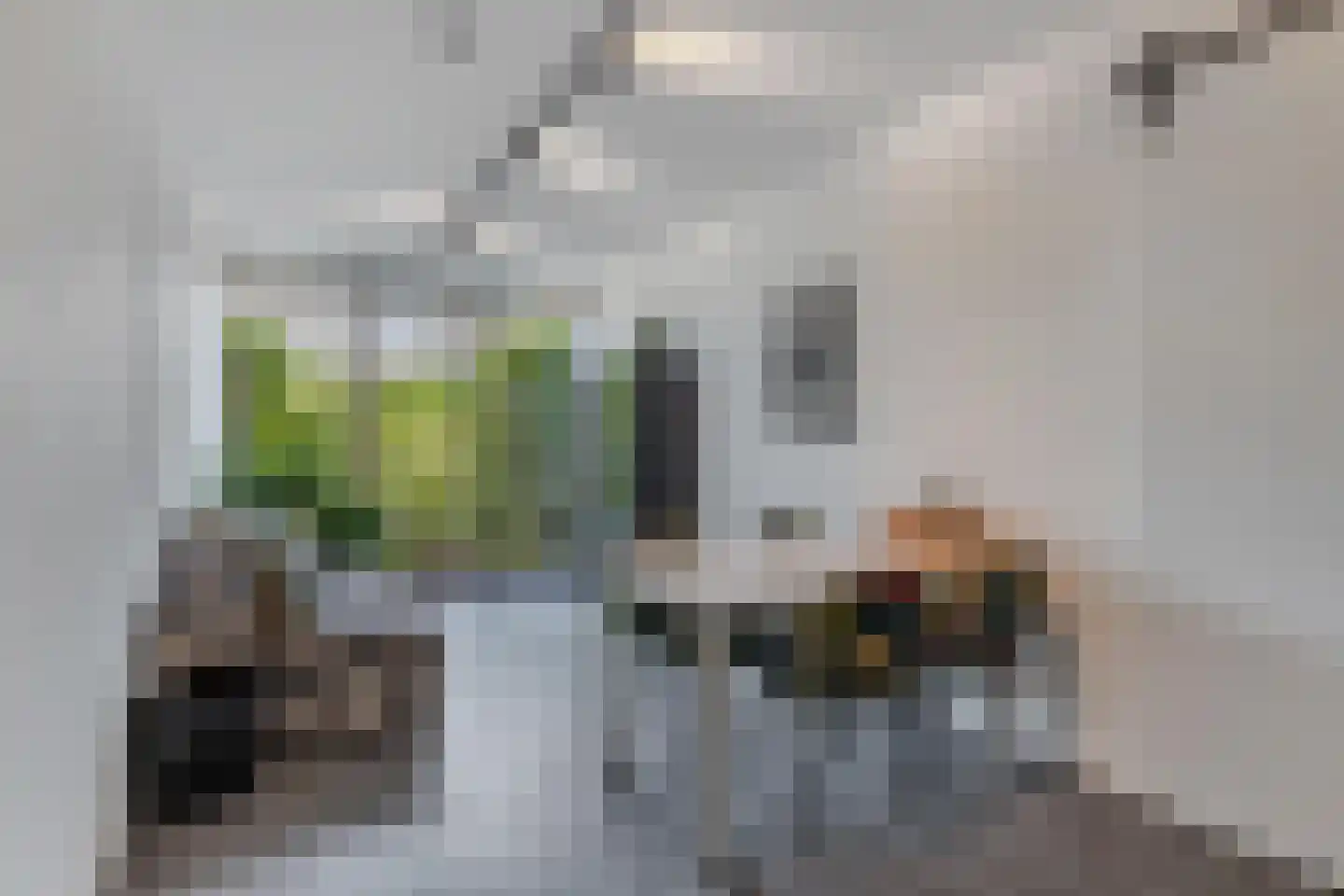 Groene Velden 110 Lelystad thumbnail 48