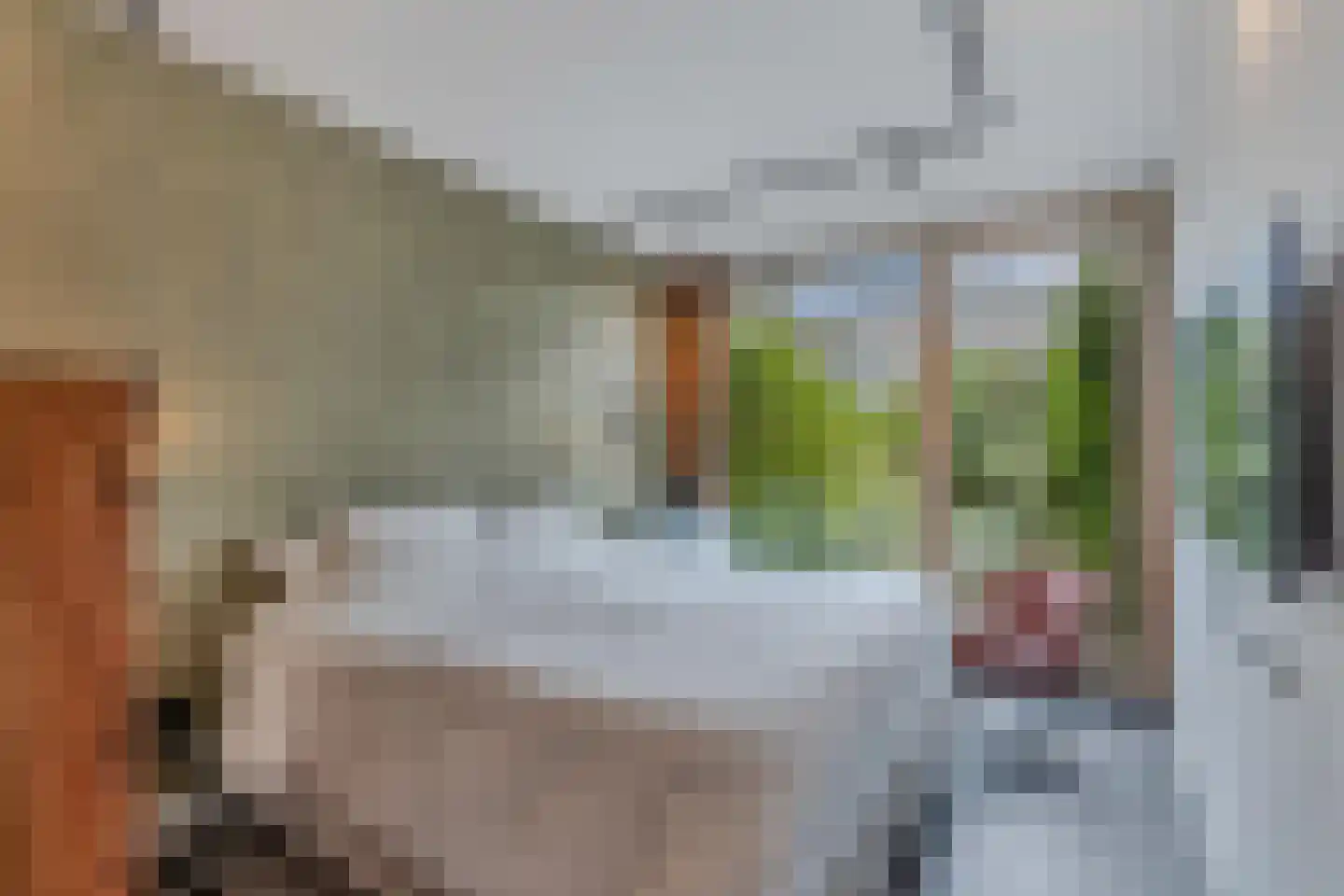 Groene Velden 110 Lelystad thumbnail 55