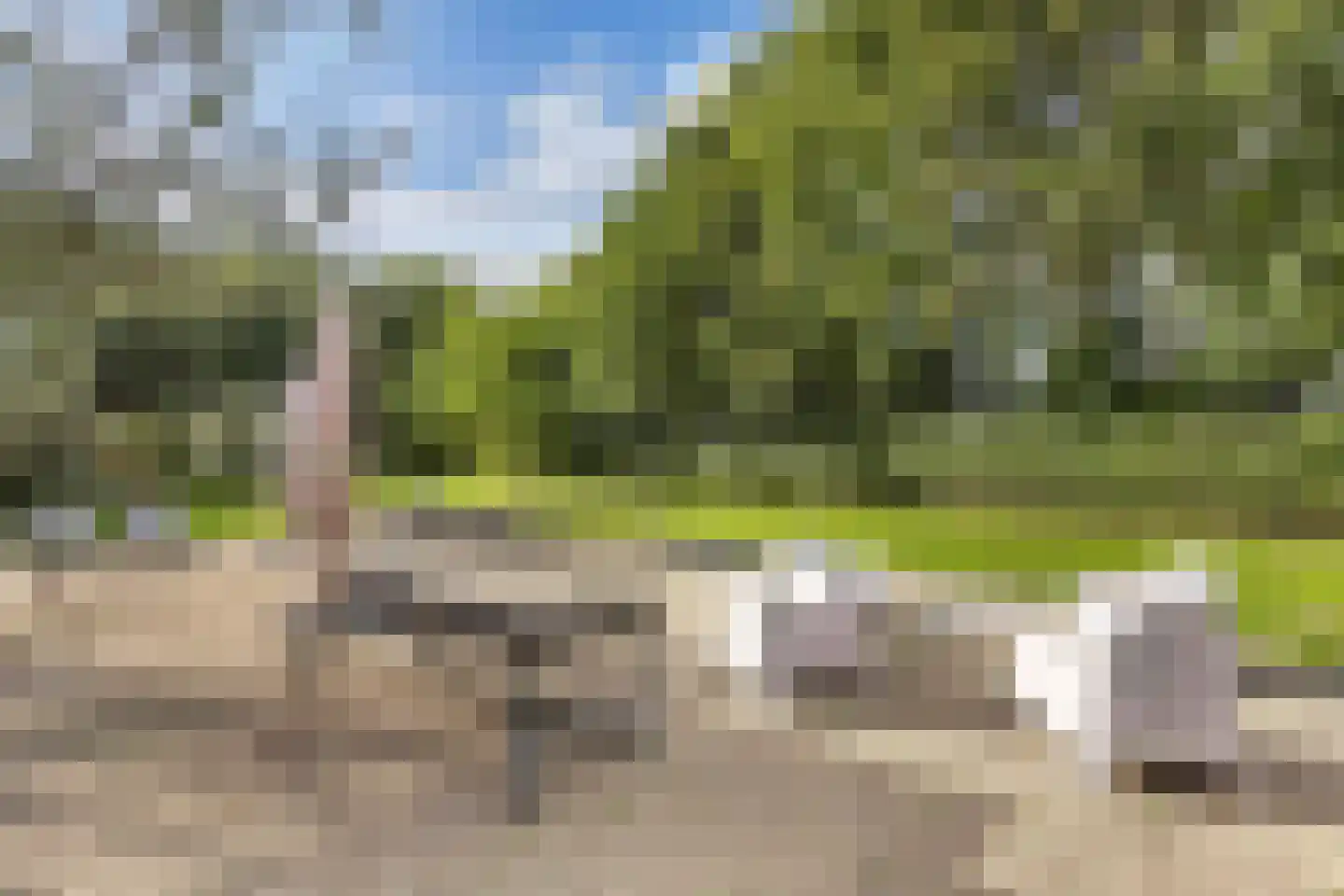 Groene Velden 110 Lelystad thumbnail 69