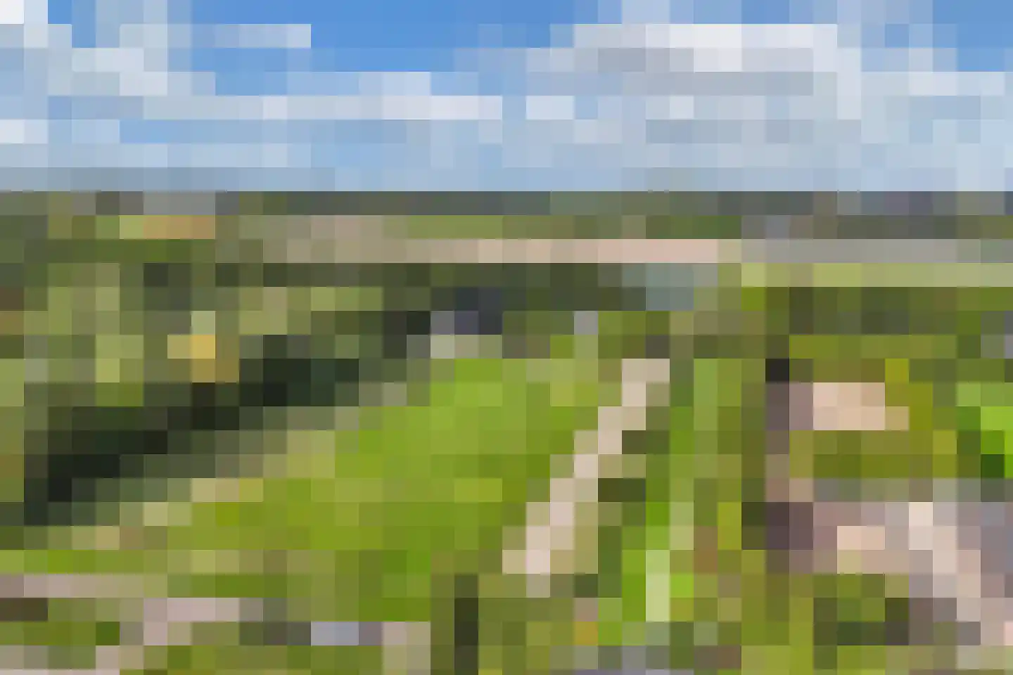 Groene Velden 110 Lelystad thumbnail 77