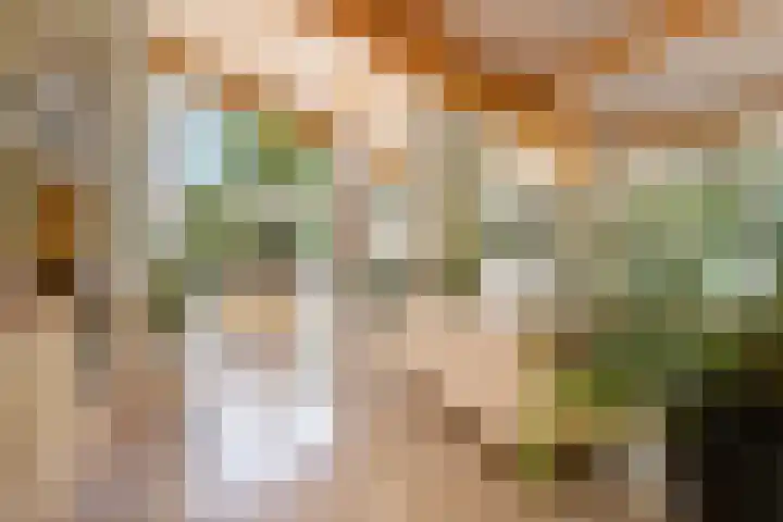 Groene Velden 145 Lelystad thumbnail 13