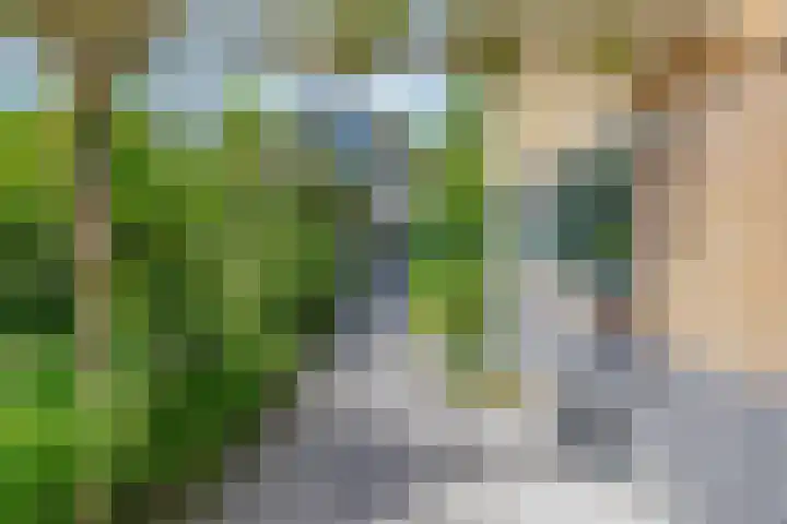 Groene Velden 145 Lelystad thumbnail 36