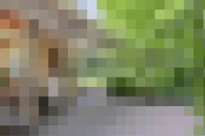 Groene Velden 145 Lelystad thumbnail 43