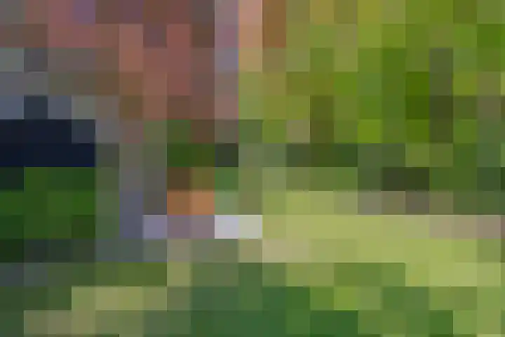 Groene Velden 145 Lelystad thumbnail 46
