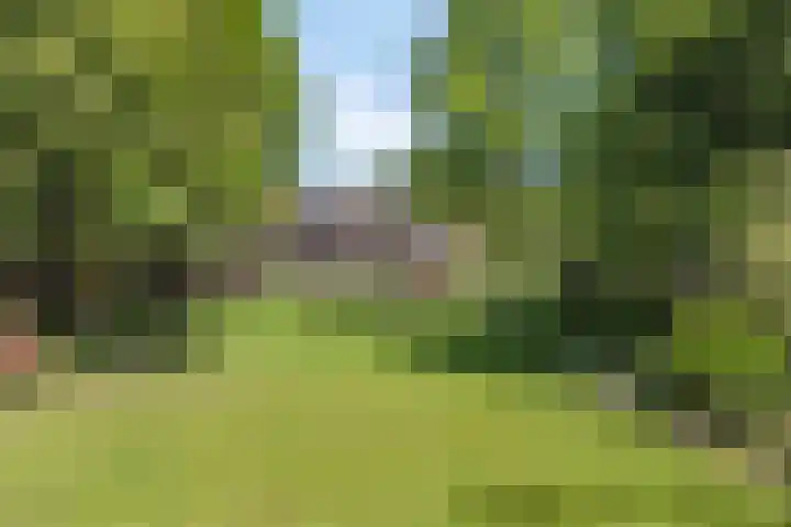 Groene Velden 145 Lelystad thumbnail 49