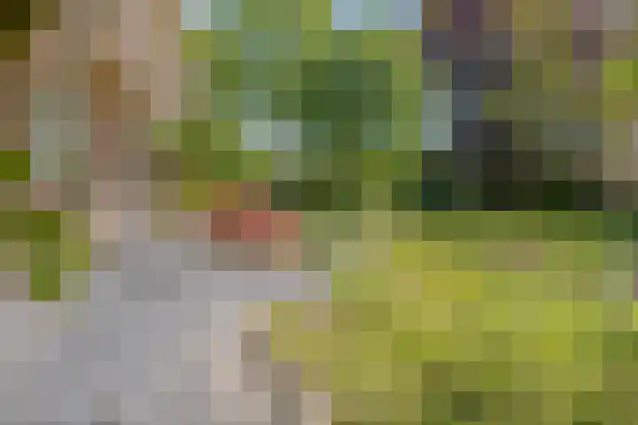 Groene Velden 145 Lelystad thumbnail 52