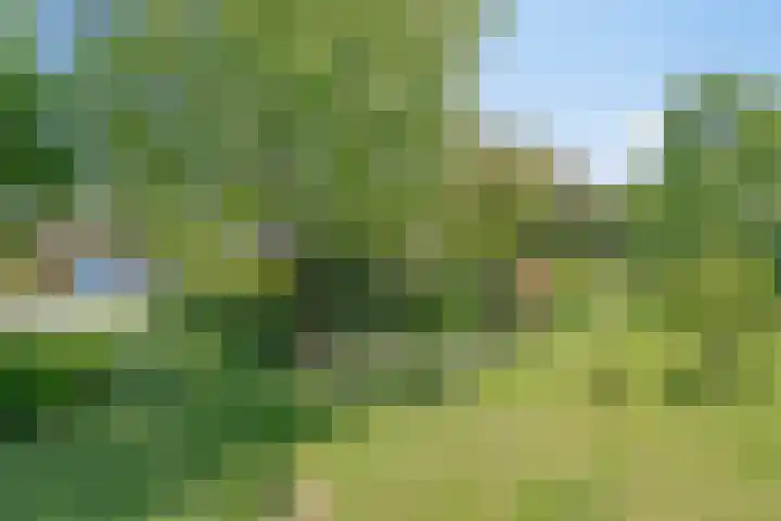 Groene Velden 145 Lelystad thumbnail 55