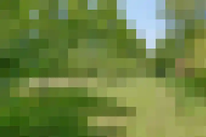 Groene Velden 145 Lelystad thumbnail 56