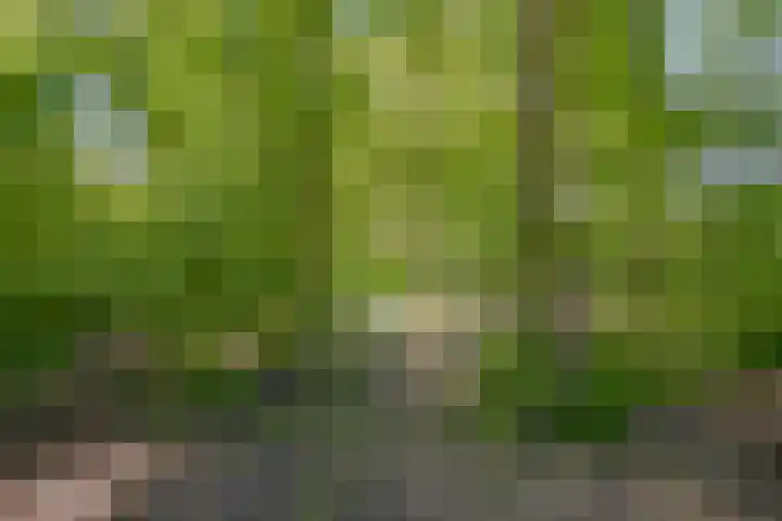 Groene Velden 145 Lelystad thumbnail 57