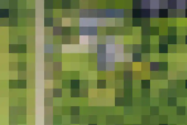 Groene Velden 145 Lelystad thumbnail 61
