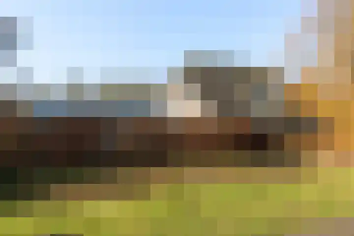 Groene Velden 174 Lelystad thumbnail 25