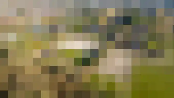 Groene Velden 174 Lelystad thumbnail 66
