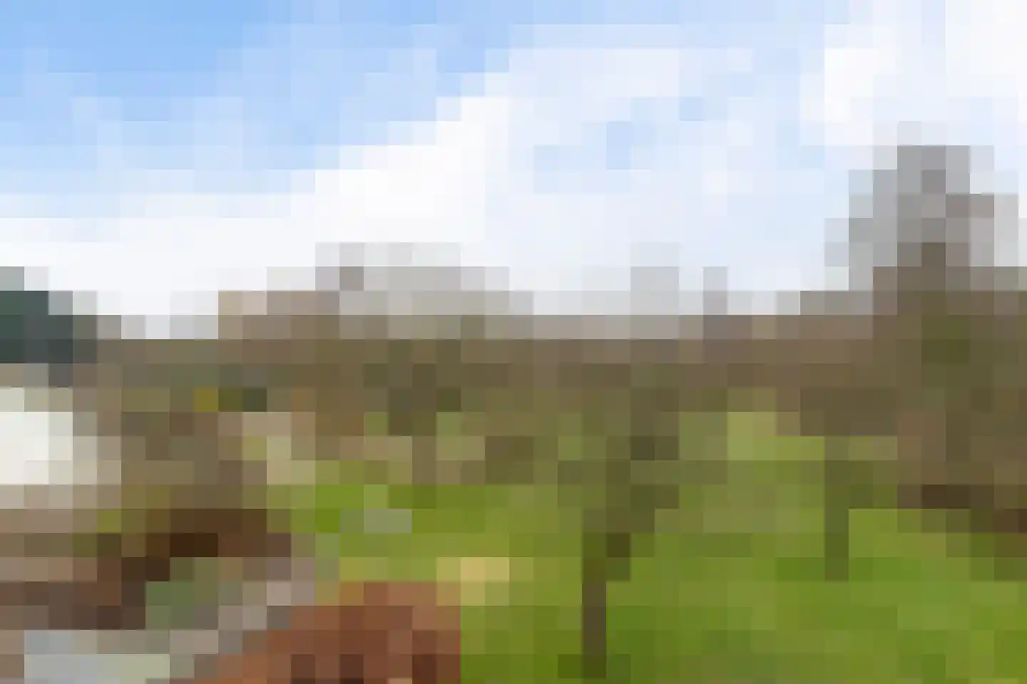 Groene Velden 181 Lelystad thumbnail 36