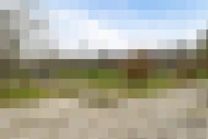 Groene Velden 181 Lelystad thumbnail 40