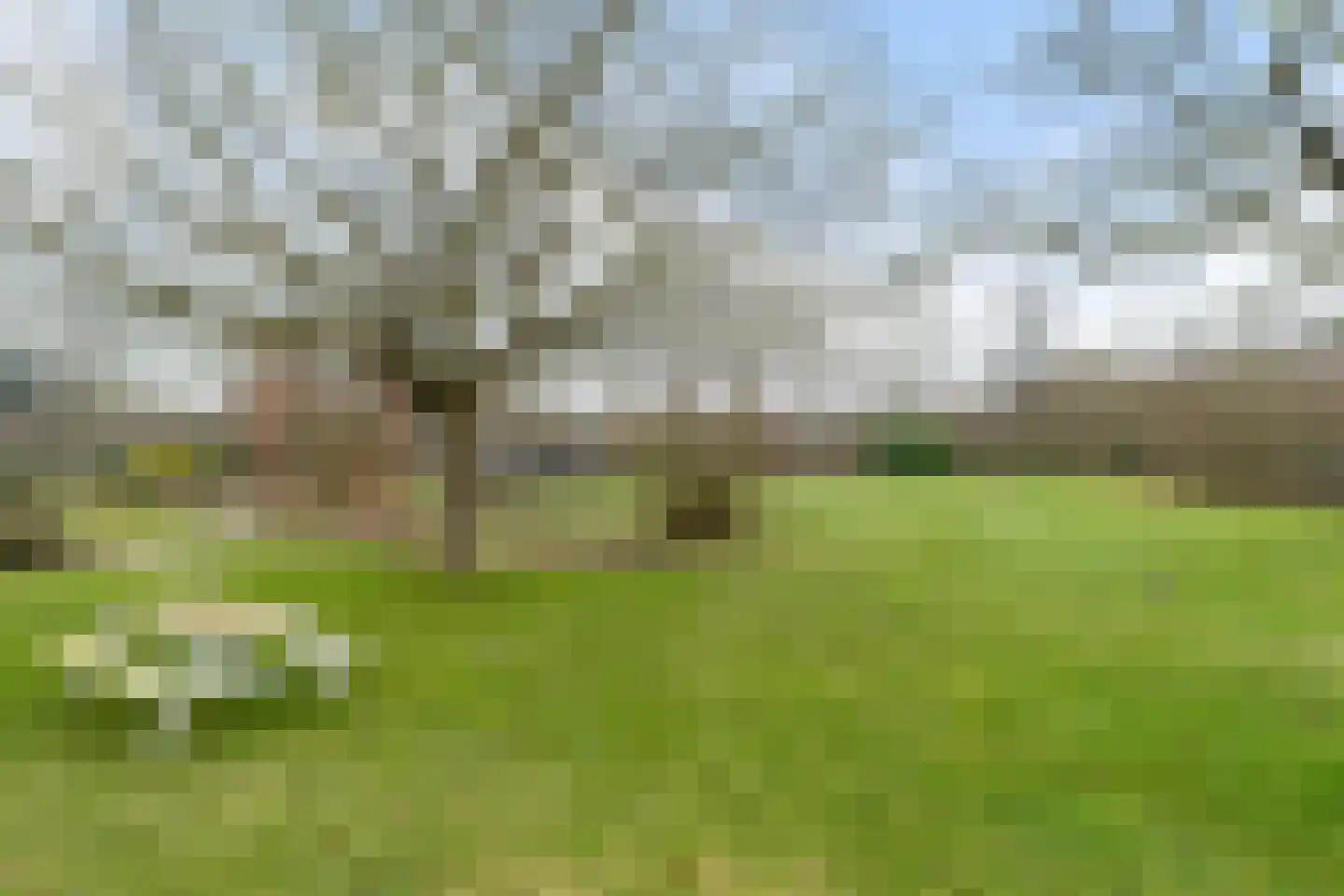 Groene Velden 181 Lelystad thumbnail 45