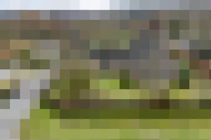 Groene Velden 181 Lelystad thumbnail 48