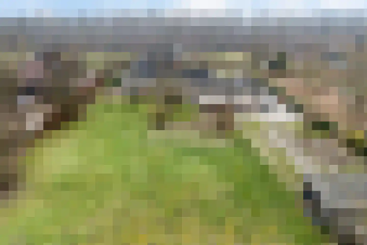 Groene Velden 181 Lelystad thumbnail 50