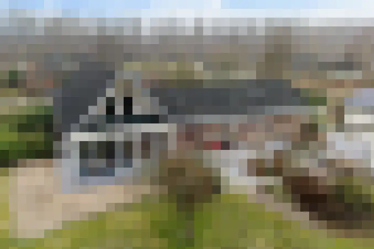 Groene Velden 181 Lelystad thumbnail 51