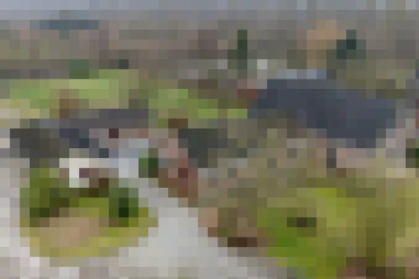 Groene Velden 181 Lelystad thumbnail 52