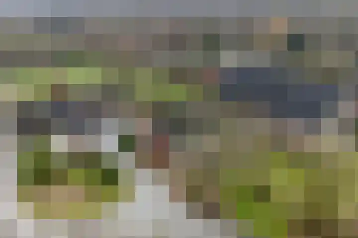 Groene Velden 181 Lelystad thumbnail 52
