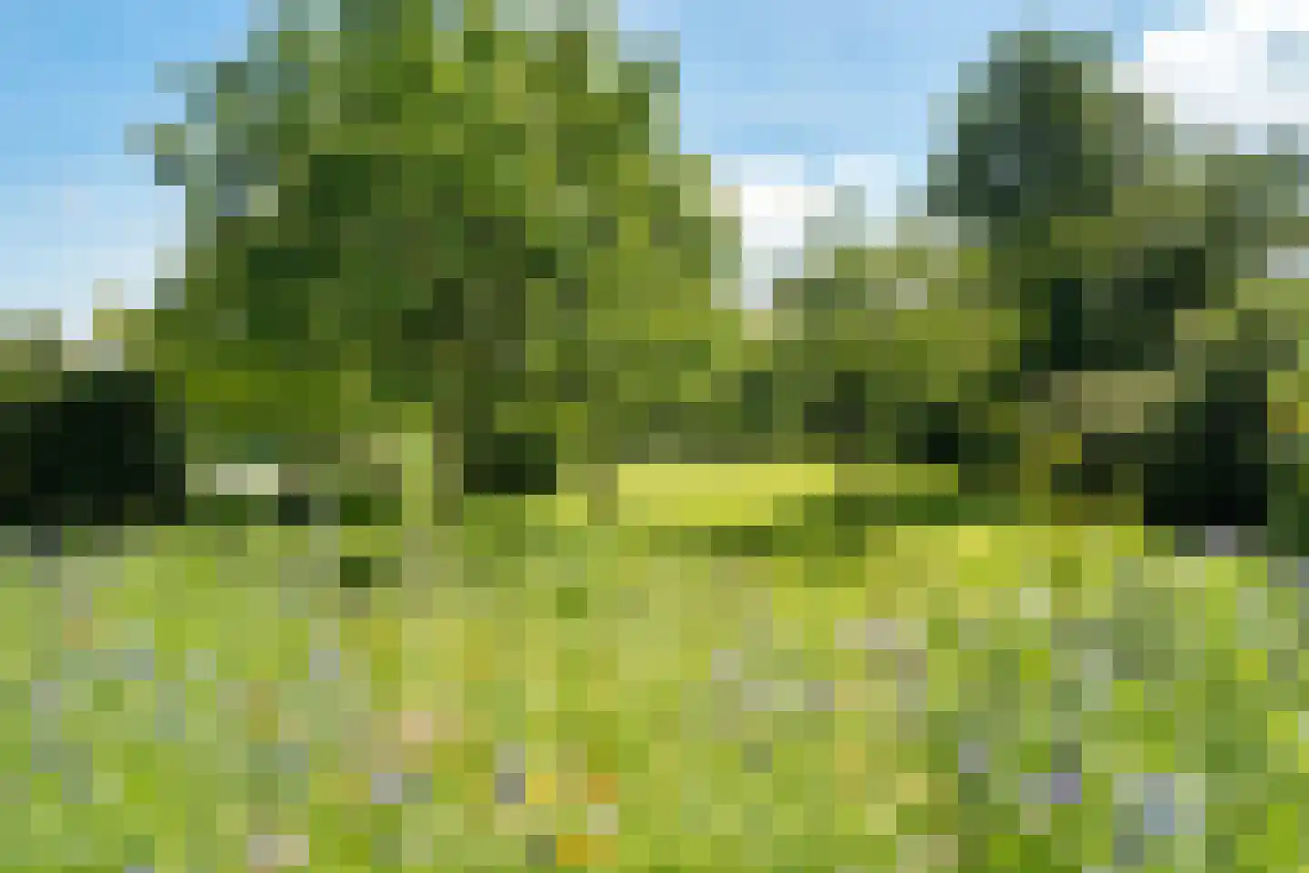 Groene Velden 181 Lelystad thumbnail 53