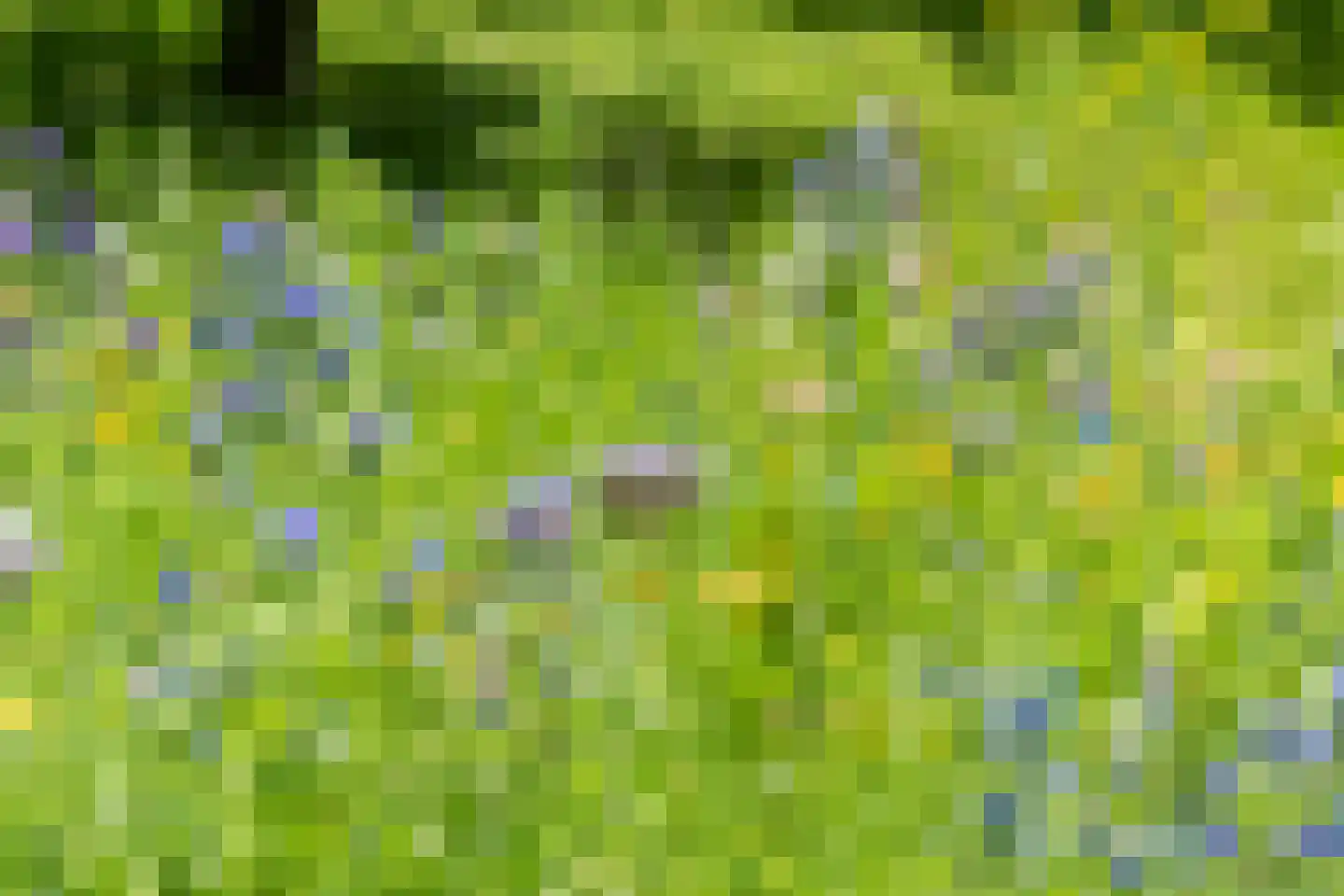 Groene Velden 181 Lelystad thumbnail 54