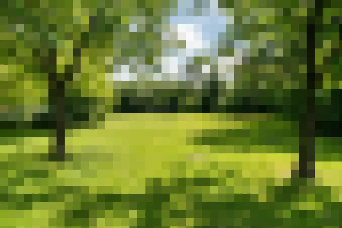 Groene Velden 181 Lelystad thumbnail 55