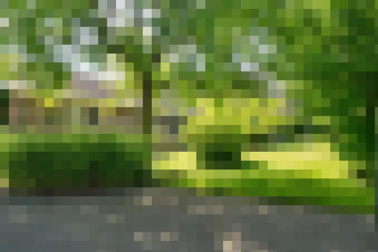 Groene Velden 181 Lelystad thumbnail 9