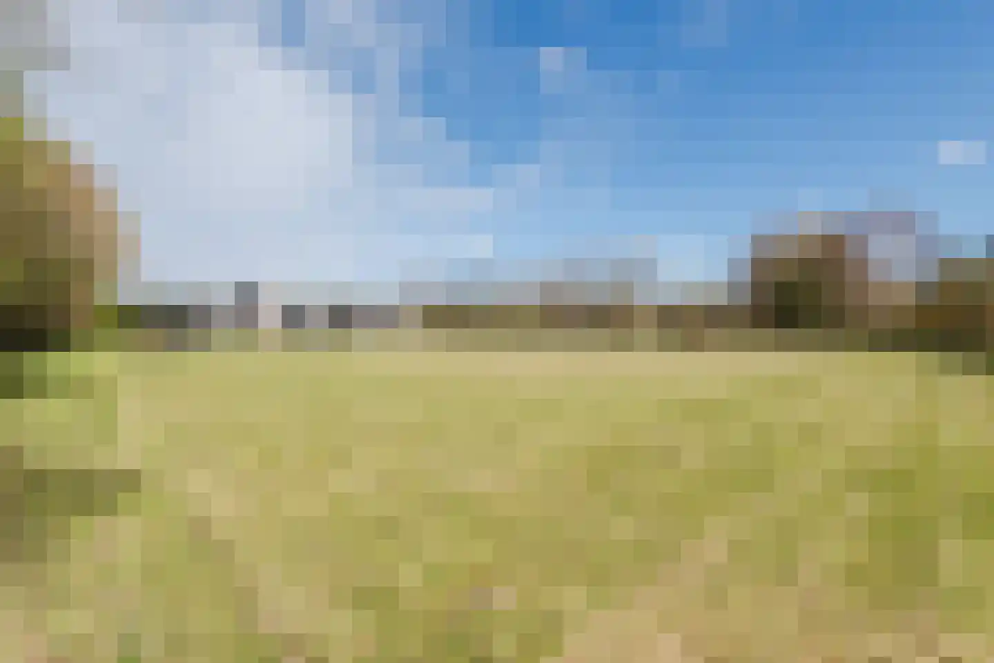 Groene Velden 208 Lelystad thumbnail 45