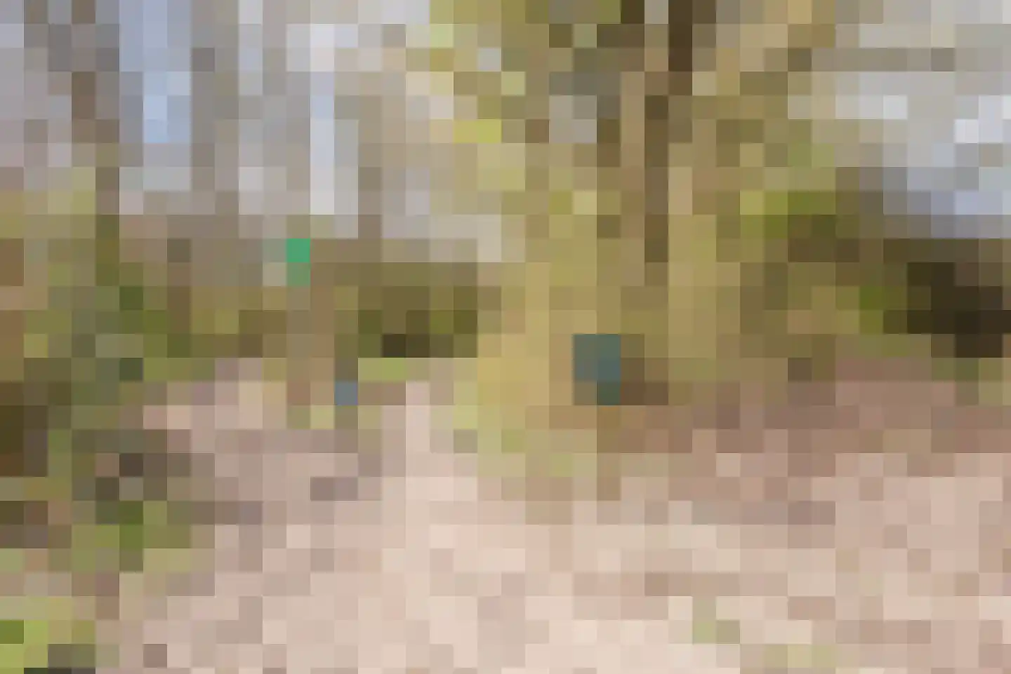 Groene Velden 208 Lelystad thumbnail 58