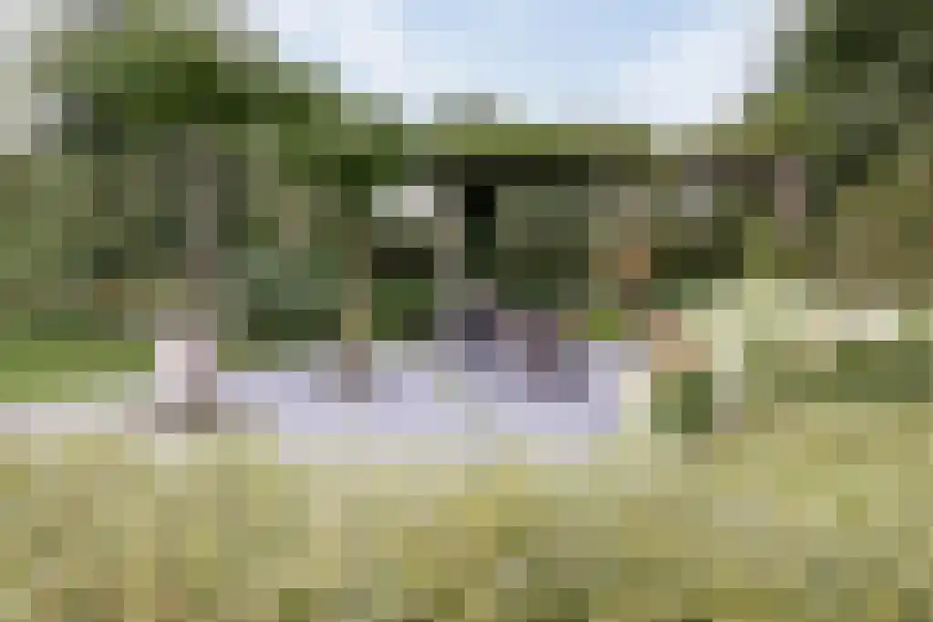 Groene Velden 62 Lelystad thumbnail 62