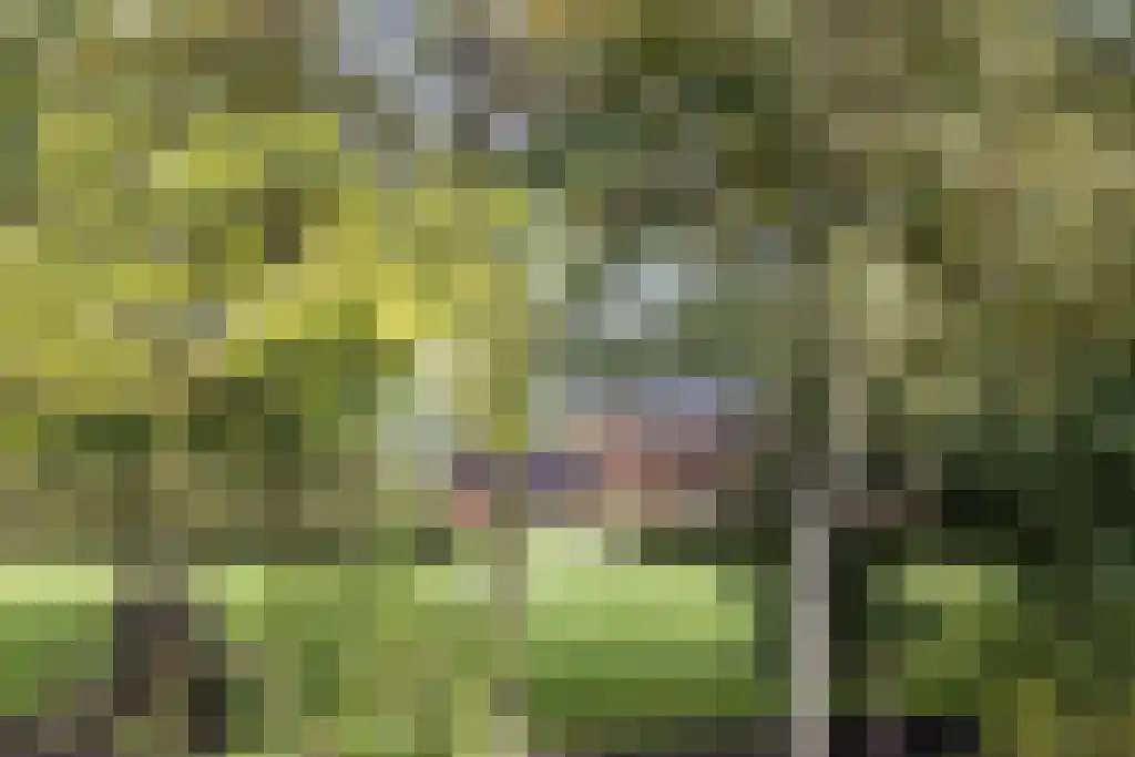 Groene Velden 62 Lelystad thumbnail 63