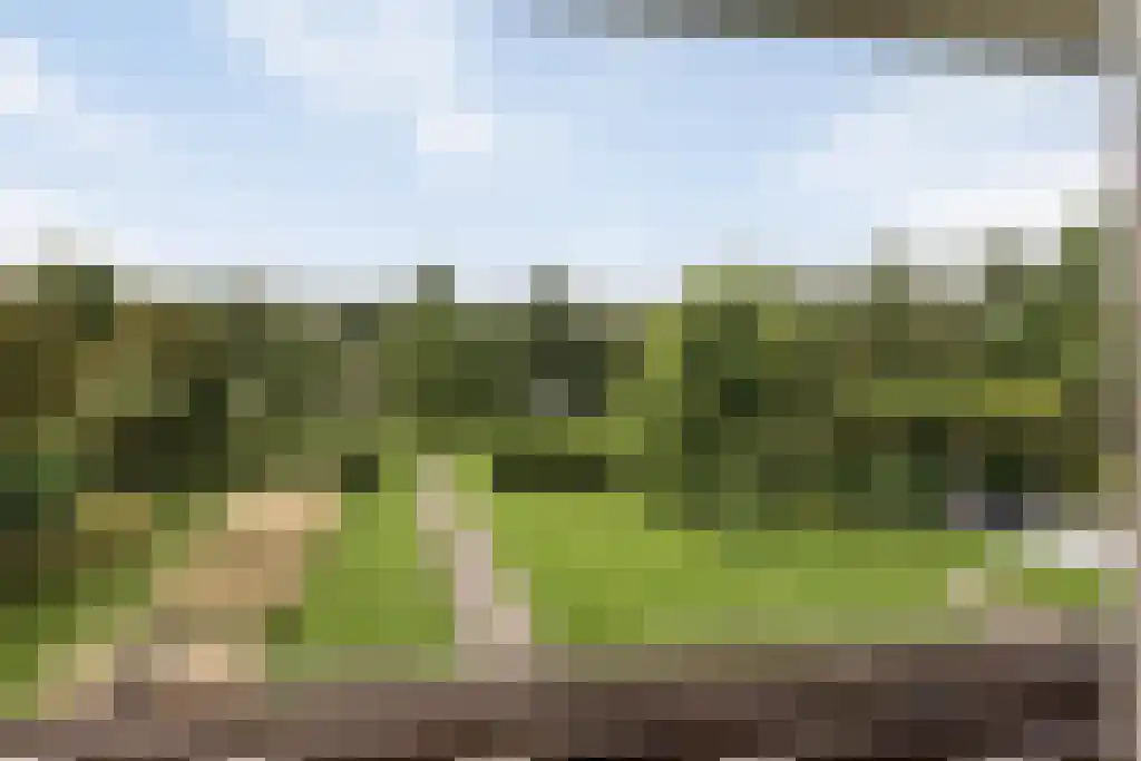 Groene Velden 62 Lelystad thumbnail 67