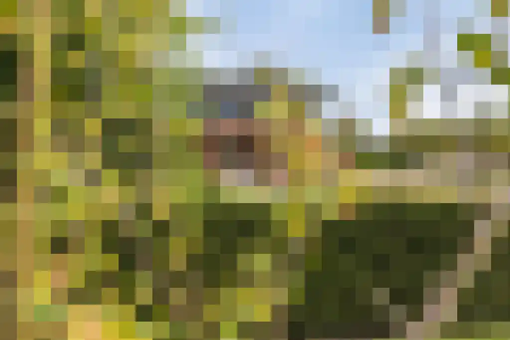 Groene Velden 62 Lelystad thumbnail 73