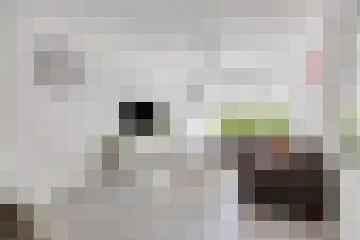 Groene Weide 32 Arnhem thumbnail 10