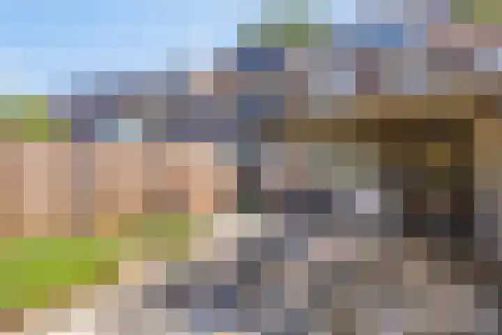 Groene Weide 32 Arnhem thumbnail 37