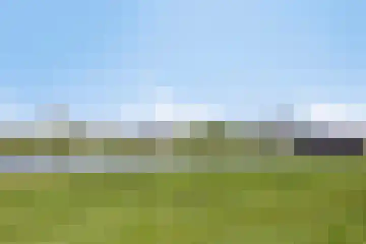 Groene Weide 32 Arnhem thumbnail 38