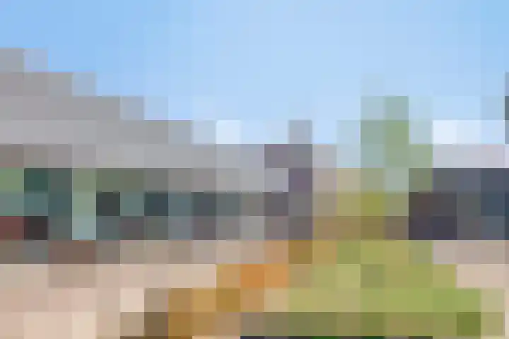 Groene Weide 32 Arnhem thumbnail 39