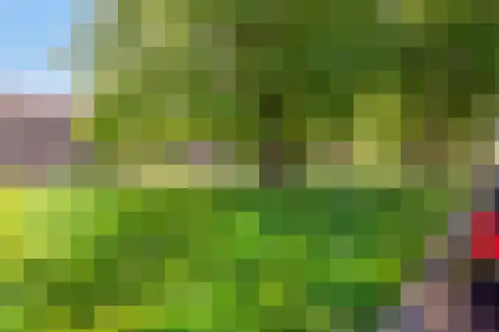 Groene Weide 32 Arnhem thumbnail 4